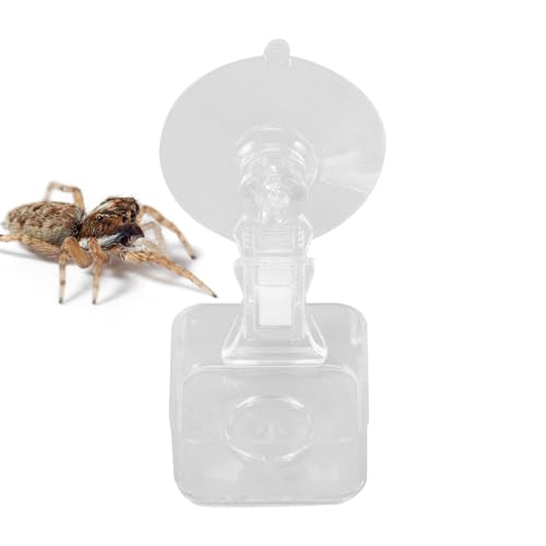 Futterautomat - Kleine Reptilien-Futterschale Mit Saugnapf - Terrarium-Dekoration, Trinkschale und Wassernapf für Echsen, Spinnen, Laubfrösche Futterautomat - Kleine Reptilien-Futterschale Mit Saugnapf - Terrarium-Dekoration, Trinkschale und Wassernapf für Echsen, Spinnen, Laubfrösche von Shenrongtong