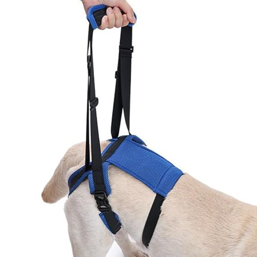 Hundetragehilfe für die Hinterbeine - Tragesling für Kleintiere mit Beinstütze,Einstellbare Gehhilfe Zur Hüftunterstützung Für Stehen Und Hundetragehilfe für die Hinterbeine - Tragesling für Kleintiere mit Beinstütze,Einstellbare Gehhilfe Zur Hüftunterstützung Für Stehen Und von Shenrongtong
