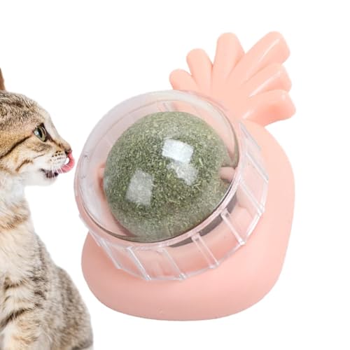 Katzenminze-Wandball, Bio-Ball, essbares Kätzchen-Spielzeug, interaktives Katzen-Leck-Kauspielzeug, für den Innenbereich, Katzenwand-Leckerlis für Katzenzähne, Reinigung der Katze, Entlastung der von Shenrongtong