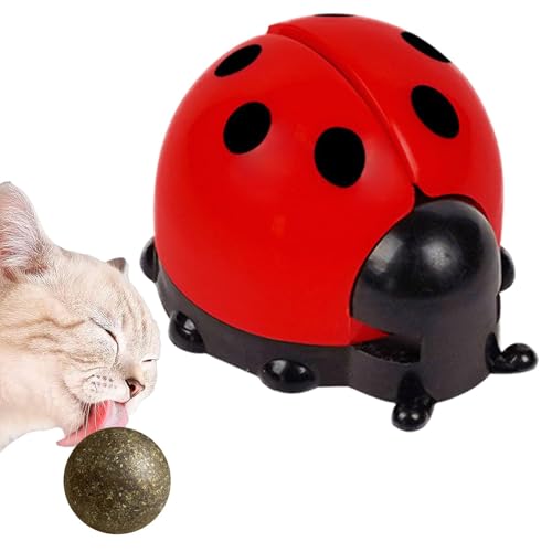 Katzenspielzeug mit Katzenminze – Wandmontiertes Marienkäfer-Kauspielzeug, essbarer Spielzeugball mit Katzenminze, Katzen-Zahnspielzeug für drinnen und draußen Katzenspielzeug mit Katzenminze – Wandmontiertes Marienkäfer-Kauspielzeug, essbarer Spielzeugball mit Katzenminze, Katzen-Zahnspielzeug für drinnen und draußen von Shenrongtong