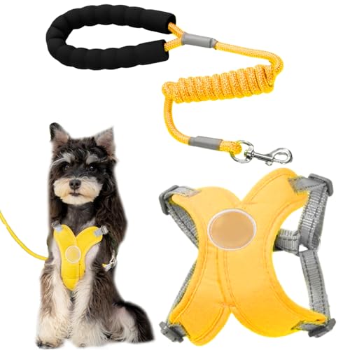 Kleinhunde Geschirr - Weiches Westengeschirr Für Welpen - Einstellbares Hundezubehör Mit Reflektierender Leine Für Kleine Hunde Spazierengehen Wandern Joggen Drinnen & Draußen Kleinhunde Geschirr - Weiches Westengeschirr Für Welpen - Einstellbares Hundezubehör Mit Reflektierender Leine Für Kleine Hunde Spazierengehen Wandern Joggen Drinnen & Draußen von Shenrongtong