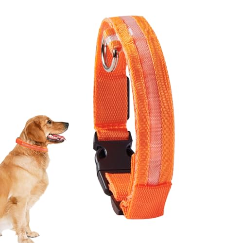 LED-Hundehalsband - Blinkendes, leuchtendes LED-Halsband für Hunde,Wiederaufladbares blinkendes LED-Hundehalsbandlicht, beleuchtetes Hundehalsband für Welpen, kleine, mittelgroße Hunde von Shenrongtong