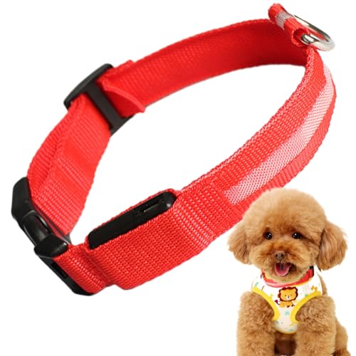 Leuchtende Hundehalsbänder,LED-Halsbänder für Hunde,Wiederaufladbare, verstellbare, beleuchtete Hundehalsbänder für die Nacht | Leuchtendes Sicherheitshalsband für Hunde, beleuchtetes von Shenrongtong