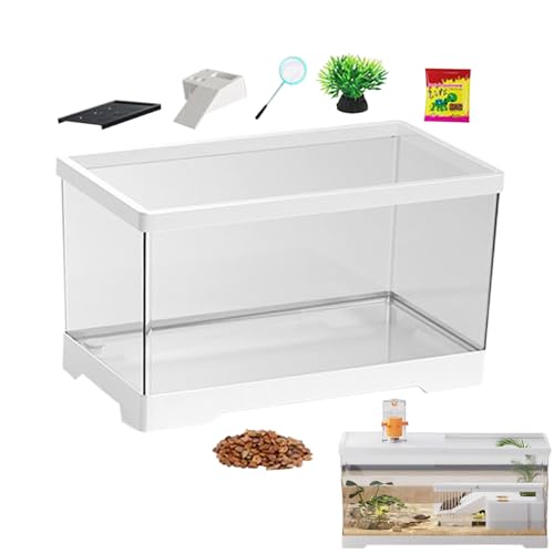 Schildkröten-Starter-Set – Reptilien-Tank-Set – Bodenentwässerungsraum für Amphibien, Fische, Krabben, Einsiedler-Schlange, Schildkröte, Gecko, , Frosch Schildkröten-Starter-Set – Reptilien-Tank-Set – Bodenentwässerungsraum für Amphibien, Fische, Krabben, Einsiedler-Schlange, Schildkröte, Gecko, , Frosch von Shenrongtong