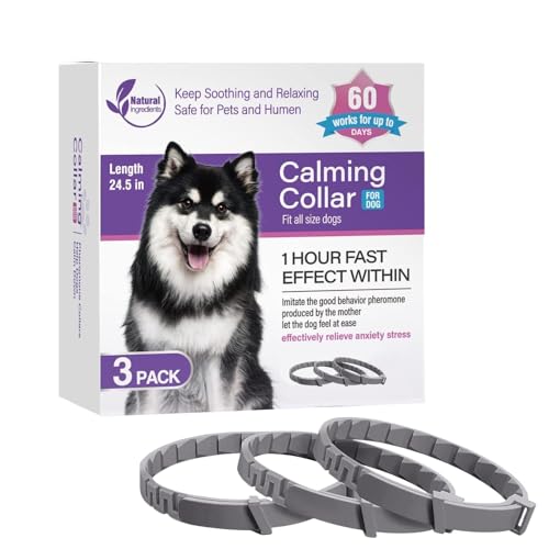 Shenrongtong Beruhigendes Hundehalsband – Entspannungshalsbänder – lindert schlechtes Verhalten, hält 60 Tage, beruhigendes Hundehalsband für alle kleinen, mittleren und großen Hunde von Shenrongtong