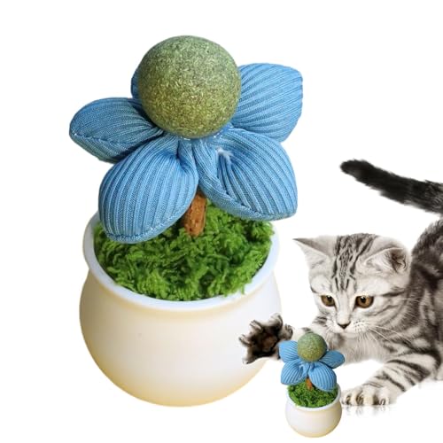 Shenrongtong Catnip Lick -Kugeln für Katzen, Katzenministerspielzeug für Katzen, Flower Pot Design Catnip, Interaktive, Unterhaltung Haustierfutterzähne -Zubehör für Kätzchenanreicherung von Shenrongtong