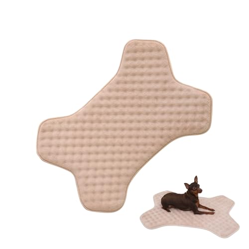 Shenrongtong Hundekiste Matte, Kistenhundbett, Maschinenwaschbar niedliche Knochenform Welpe, Wear-resistente Haustier-Schlafkissen, Nicht rutschfeste Kau-Beweis-Hundebett für Schlafzimmer Shenrongtong Hundekiste Matte, Kistenhundbett, Maschinenwaschbar niedliche Knochenform Welpe, Wear-resistente Haustier-Schlafkissen, Nicht rutschfeste Kau-Beweis-Hundebett für Schlafzimmer von Shenrongtong