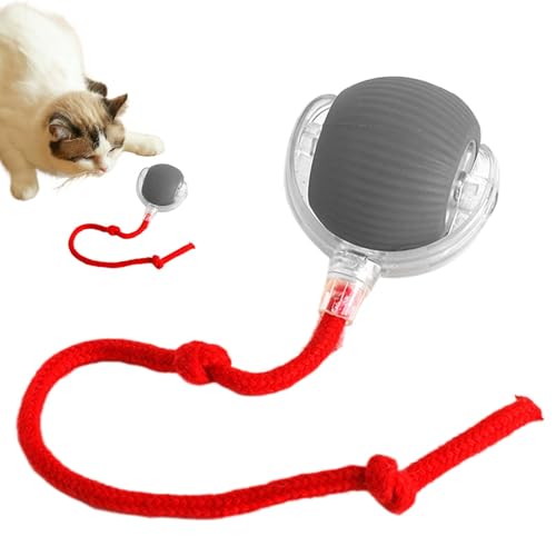 Shenrongtong Interaktiver Katzenball, Interaktiver Katzenspielzeugball - Dog Active Rollball | Interaktives rollendes Hundeballspielzeug, intelligenter, beweglicher beweglicher Ball, rollender Ball von Shenrongtong