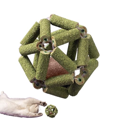 Katzenminze Kauspielzeug für Katzen | Natürliche Silvervine Stick Cage Balls | Interaktives Katzenminze-Spielzeug, Bissfestes Kauspielzeug zum Reinigen der Zähne, Entspannen von von Shenrongtong