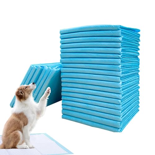 Shenrongtong Wee Wee Pads für Hunde,Puppy Pee Pads - Töpfchen-Trainingsunterlagen für kleine Hunde,Super saugfähige Haustierwindel, verdickte Windeleinlagen für Katzen und Hunde, schnell trocknende von Shenrongtong