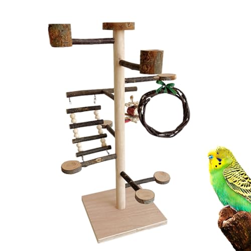 Vogelspielständer, Spielständer für Papageien, Vogelspielplatz Training Holzständer Sitzstange für Nymphensittiche, Lovebird, Sittiche von Shenrongtong