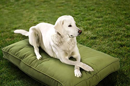 Sunbrella Doppelseitiges Hundebett für drinnen und draußen, waschbarer Bezug und kaufest, Haustiermatte für Mehrzweck, pflegeleicht und haustiersicher (mittelgroß, Polyester, Kiwi, 91,4 x 66 x 7,6 cm) von Sherry Kline