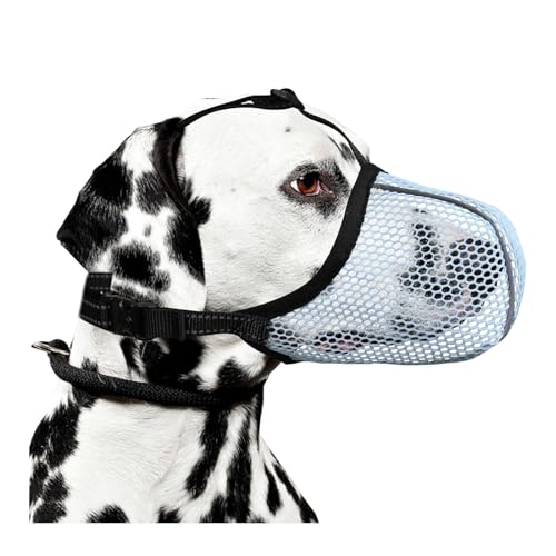 Shienfir Extra großer Hundemaulkorb, verstellbare Leine, atmungsaktives Netzgewebe gegen Bellen, Kauen, Beißen, reflektierendes Nylon-Design Hellblau M von Shienfir