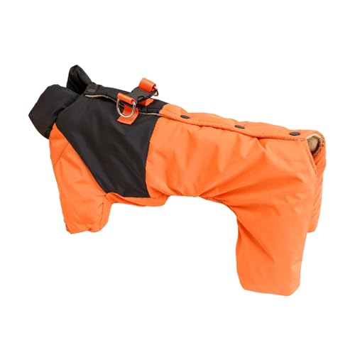 Shienfir Wintermantel für Hunde, farbblockierendes Design, hautfreundlich, warme Thermojacke für kleine Hunde, Einteiler-Kleidung für kaltes Wetter, Outdoor-Reisen Orange M von Shienfir