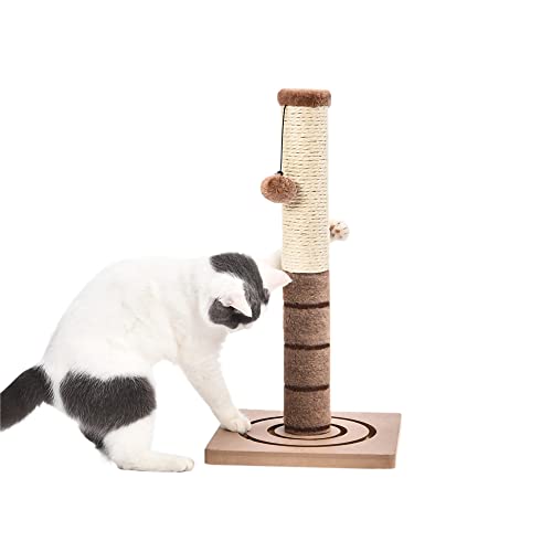 Shifan Lustiges Haustier Katzenspielzeug Kombinieren mit Ball für Katzen Kätzchen Briefkasten Natürliches Sisal Interaktives Spielzeug für kleine Katzen Gemütliches Nest Massivholz von Shifan