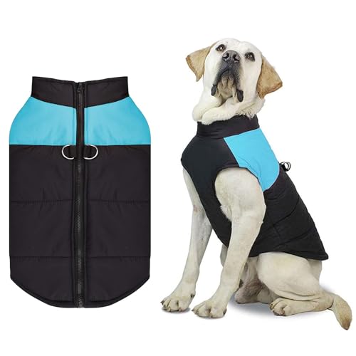 Hundemantel für Kleine Hunde,Hunde Jacke Warm Hundemantel Winter Winterjacke Hundemantel Wasserdicht Wintermantel Hund für Kleine Mittlere Grosse Hunde mit D-Ring Winddichte Hundejacke von Shinmax