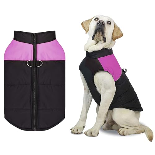 Hundemantel für Kleine Hunde,Hunde Jacke Warm Hundemantel Winter Winterjacke Hundemantel Wasserdicht Wintermantel Hund für Kleine Mittlere Grosse Hunde mit D-Ring Winddichte Hundejacke von Shinmax