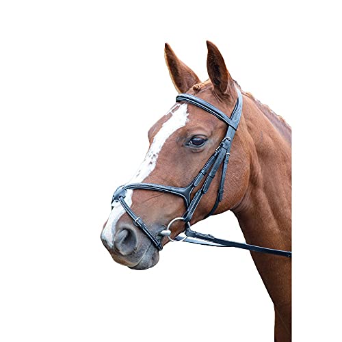 Shires Avignon Mexican Grackle Bridle Full Size Black von Shires