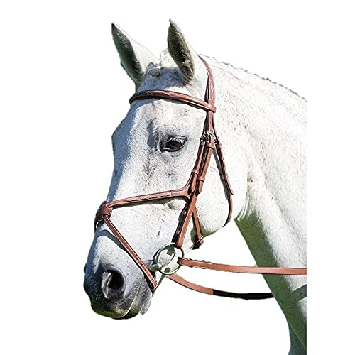 Shires Avignon Mexican Grackle Bridle Full Size Havana von Shires