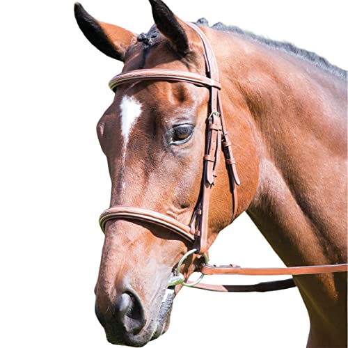 Shires Avignon Raised Cavesson Snaffle Bridle Full Size Oak von Shires