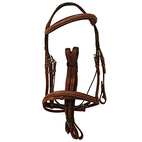 Shires Avignon Raised Flash Snaffle Bridle Extra Full Size Havana von Shires