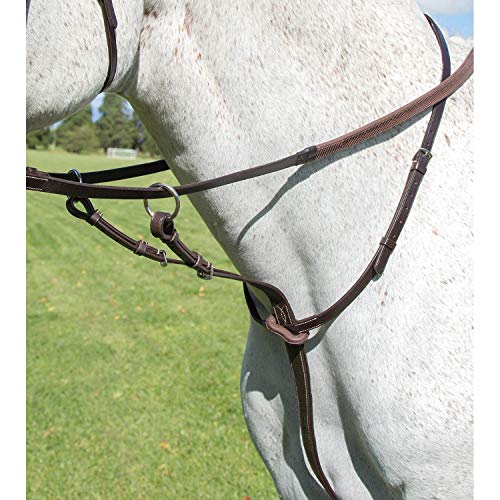 Shires Avignon Running Martingales Pony Havana von Shires