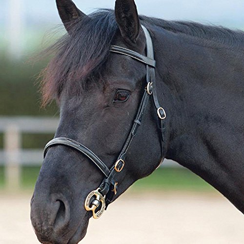 Shires Blenheim Fancy Stitched Bridle for In-Hand Full Size Black von Shires