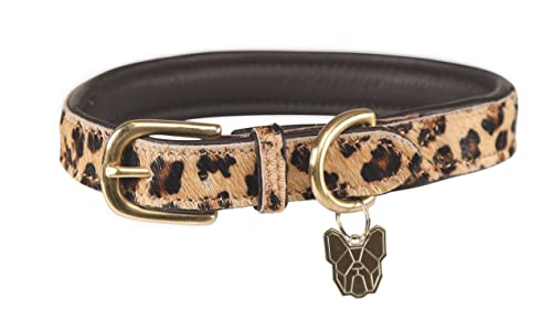 Shires Digby & Fox Hundehalsband, Kuhhaar, bedruckt von Shires