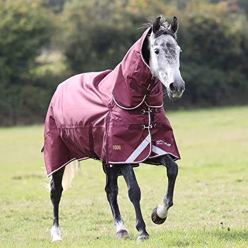 Shires Highlander Plus Pferdedecke, 100 g, Kastanienbraun, 1,52 m / 167,6 cm, Kastanienbraun von Shires