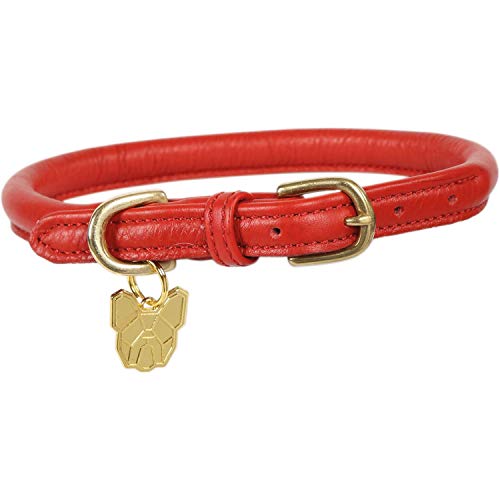 Shires Rolled Leather Dog Collar X Small Red von Shires