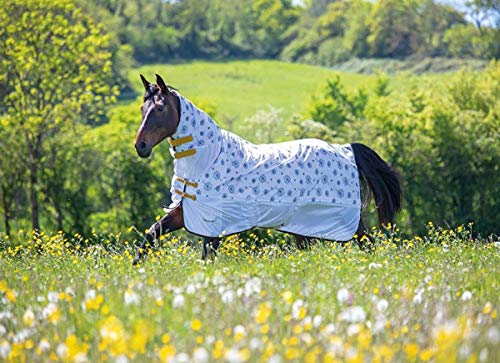 Shires-Tempelbild Löwenzahn-Kombi-Fliegenteppich 125cm Dandelion von Shires