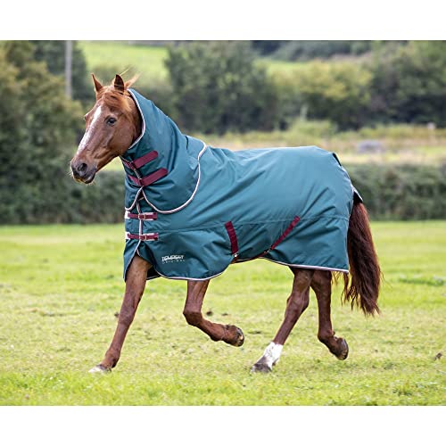 Shires Tempest Original 200 Weidedecke und Hals, Grün 1,8 m von Shires