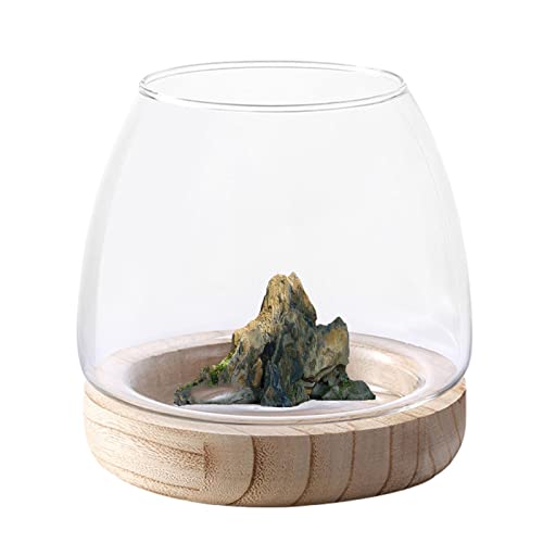 Hydroponisches Pflanzenterrarium aus Glas - Fischglasvase aus transparentem Glas mit Holzständer - Weithals-Blumenvase, Terrarium, Glas-Hydrokultur-Pflanzgefäß, klare Fischschale für die Shiyan von Shiyan