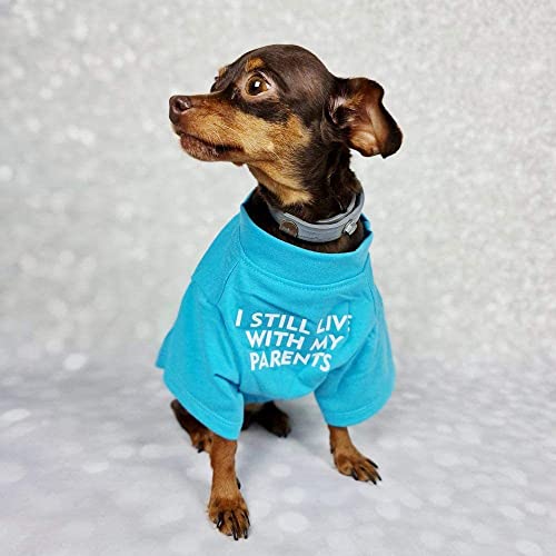 ShopINess Lustiges T-Shirt für Hund und Haustiere mit dem Spruch: Ich wohne noch bei Meinen Eltern (Hellblau, L) von ShopINess