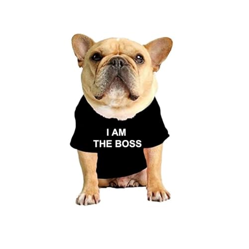 ShopINess Lustiges T-Shirt für Hunde Katze und Haustiere mit dem Spruch I am The Boss Ich Bein der Boss (Schwarz, L) von ShopINess
