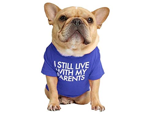 T-Shirt für Hunde mit dem Spruch: Ich wohne noch bei Meinen Eltern (Blau, M) von ShopINess