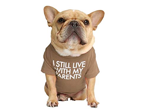 T-Shirt für Hunde mit dem Spruch: Ich wohne noch bei Meinen Eltern (Khaki, L) von ShopINess