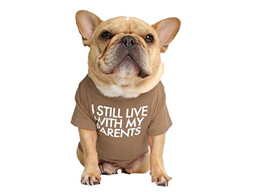T-Shirt für Hunde mit dem Spruch: Ich wohne noch bei Meinen Eltern (Khaki, M) von ShopINess
