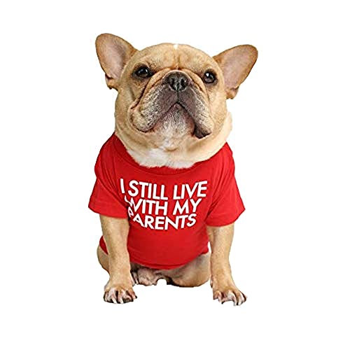 T-Shirt für Hunde mit dem Spruch: Ich wohne noch bei Meinen Eltern (Rot, L) von ShopINess