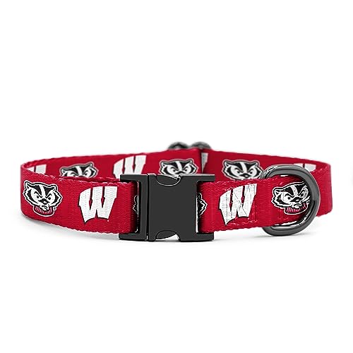 Wisconsin Badgers Halsbänder und Leinen, offizielles Lizenzprodukt, passend für alle Haustiere. (Medium Collar) von Shopinstapets