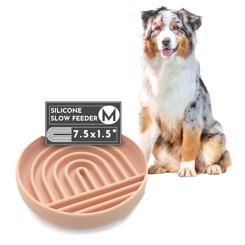 Should We Go? - Der Slowdown Bowl - Silikon Slow Feeder für Hunde & Welpen, fördert langsames Fressen, modernes Leckmatten-Design, reduziert Schlucken, spülmaschinengeeignet, ideal für alle Rassen - von Should We Go?