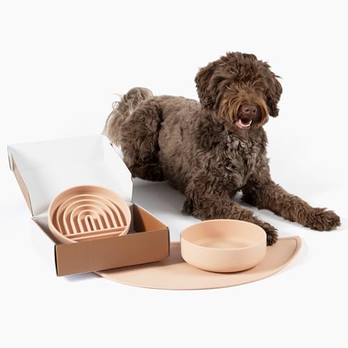 Should We Go? Komplettes Futterset für Haustiere, langsamer Futterspender & Wassernapf mit auslaufsicherer Silikonmatte – ideal für kleine bis mittelgroße Hunde, rutschfest, leicht zu reinigen, von Should We Go?