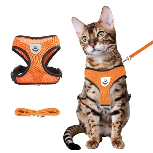 Brustgeschirr und Leine, Anti-Ausbruch, verstellbar, weiches Netzgewebe, Katzenleine und Geschirr-Set für kleine Katzen und Welpen, Weste für mittelgroße Katzen (Orange, L) von Shudyear