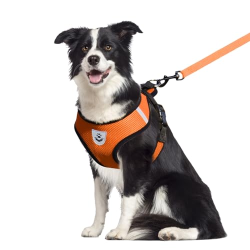 shudyear Hundegeschirr und Leine, Anti-Ausbruch, verstellbar, weiches Netzgewebe, Hundeleine und Geschirr-Set für kleine Hunde und Welpen, Weste für mittelgroße Hunde (Orange, XL) von Shudyear