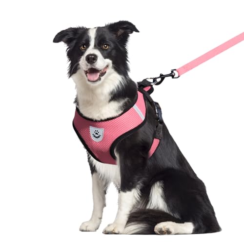 shudyear Hundegeschirr und Leine, Anti-Ausbruch, verstellbar, weiches Netzgewebe, Hundeleine und Geschirr-Set für kleine Hunde und Welpen, Weste für mittelgroße Hunde (Rosa, XL) von Shudyear