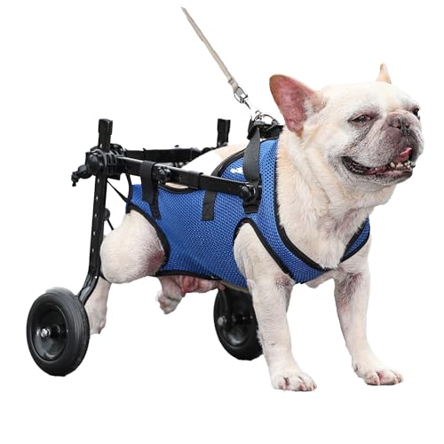 shudyear Hunderollstuhl Van, Hunderollstuhlwagen für hinten, verstellbarer Hunderollstuhlwagen für hinten, Hundebeinstütze und Hüftstütze für behinderte und verletzte kleine Hunde (XS) von Shudyear