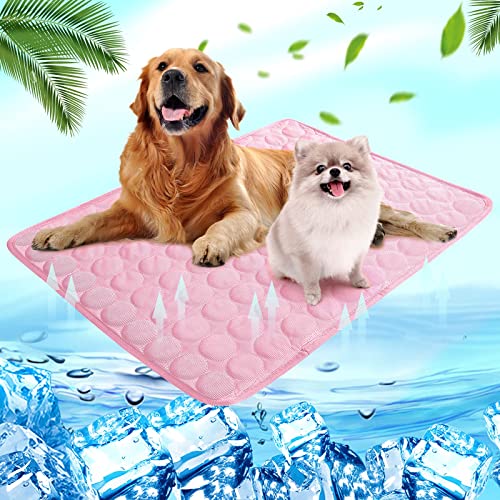 Shujin Kühlmatte Hunde Katzen für Sommer Kühlende Haustiermatte Selbstkühlend Waschbar Kühlpad wasserdichte Kühlkissen rutschfeste Komfortabel Kühlbett(Rosa,S (50 * 40 cm)) von Shujin