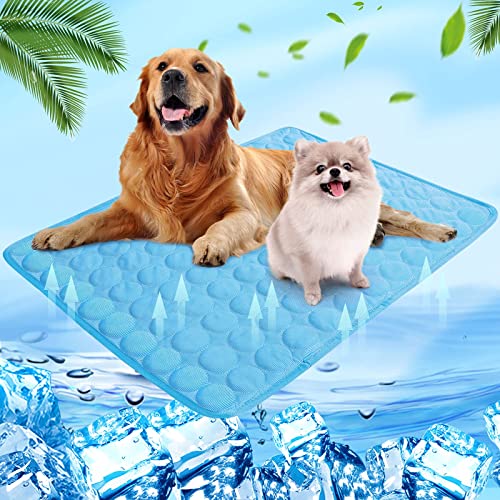 Shujin Kühlmatte Hunde Katzen für Sommer Kühlende Haustiermatte Selbstkühlend Waschbar Kühlpad wasserdichte Kühlkissen rutschfeste Komfortabel Kühlbett(Blau,L (70 * 55 cm)) von Shujin