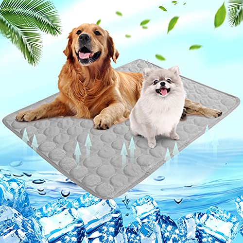 Shujin Kühlmatte Hunde Katzen für Sommer Kühlende Haustiermatte Selbstkühlend Waschbar Kühlpad wasserdichte Kühlkissen rutschfeste Komfortabel Kühlbett(Grau,XL (100 * 70 cm)) von Shujin