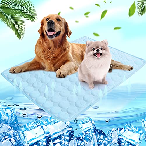 Shujin Kühlmatte Hunde Katzen für Sommer Kühlende Haustiermatte Selbstkühlend Waschbar Kühlpad wasserdichte Kühlkissen rutschfeste Komfortabel Kühlbett(Hellblau,L (70 * 55 cm)) von Shujin